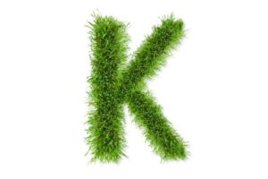 107 Nouns That Start with K [with Definitions and Examples ...
