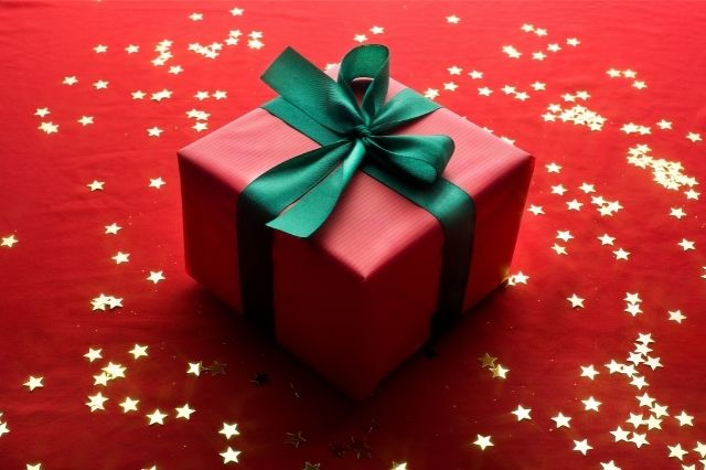 6 Best Xmas Gift ideas for your Little Ones! - Greenopolis.com