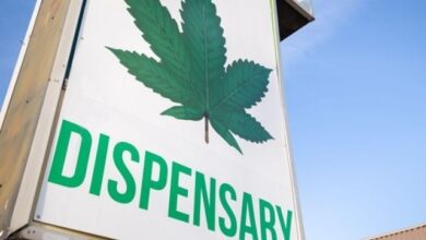 how-to-find-the-best-weed-dispensaries-in-denver
