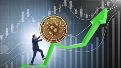 factors-that-make-bitcoins-price-up-down