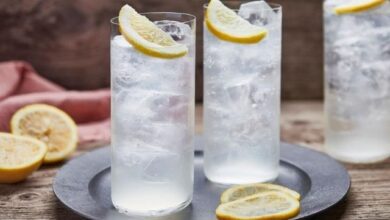most-taste-tantalising-gin-cocktails-in-history