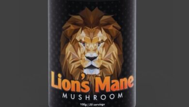 is-lions-mane-mushroom-extract-safe