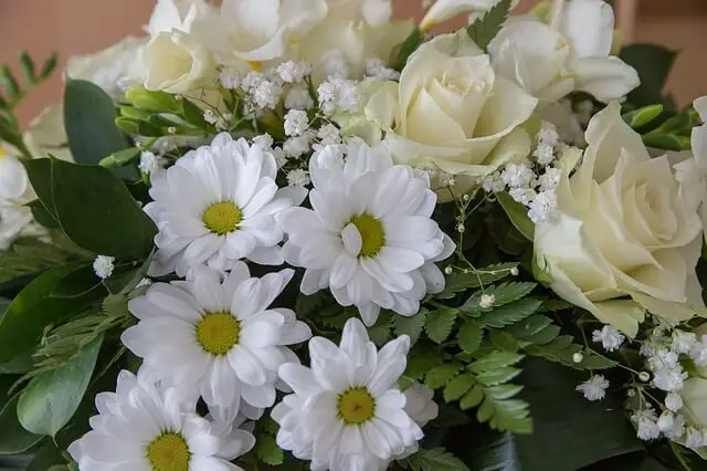 the-meaning-behind-different-types-of-popular-funeral-flowers
