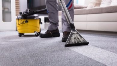 how-to-choose-the-perfect-carpet-cleaning-service-for-your-home