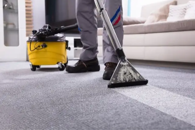 how-to-choose-the-perfect-carpet-cleaning-service-for-your-home