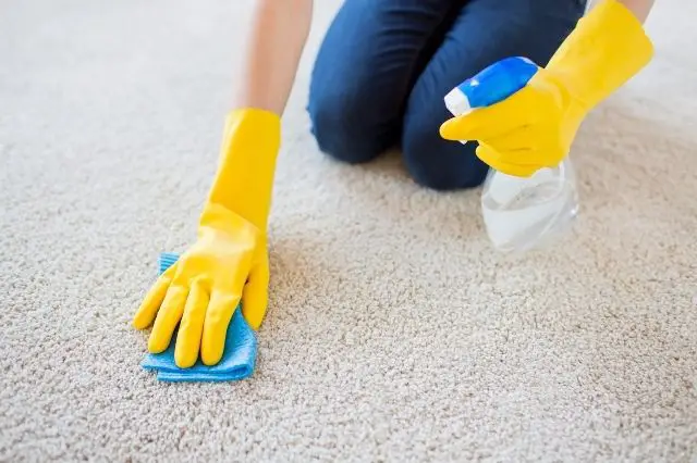 why-is-carpet-cleaning-an-important-part-of-home
