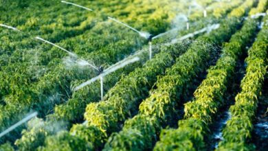 innovative-solutions-for-better-irrigation
