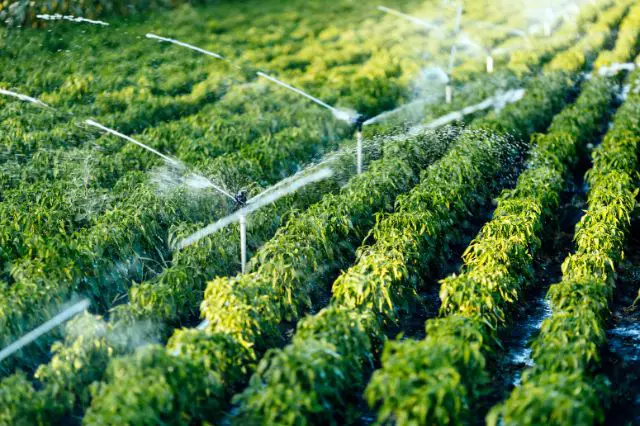 innovative-solutions-for-better-irrigation