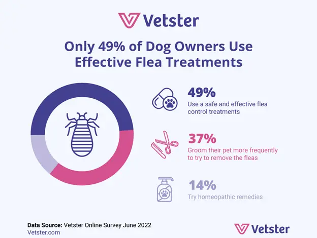 What will you do if your dog has fleas?