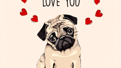 where-to-find-funny-valentines-cards