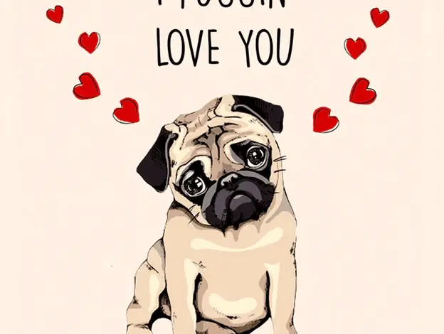 where-to-find-funny-valentines-cards