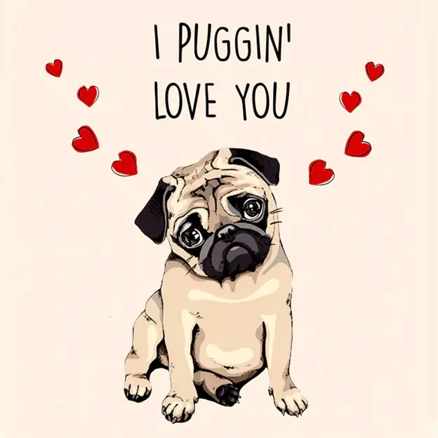 where-to-find-funny-valentines-cards-greenopolis