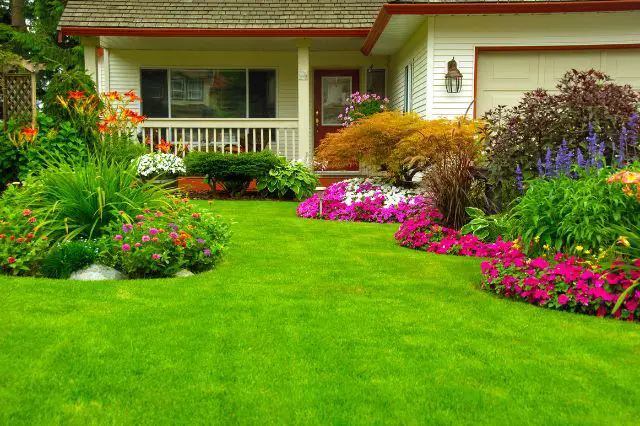 landscaping-mistakes-and-how-to-avoid-them