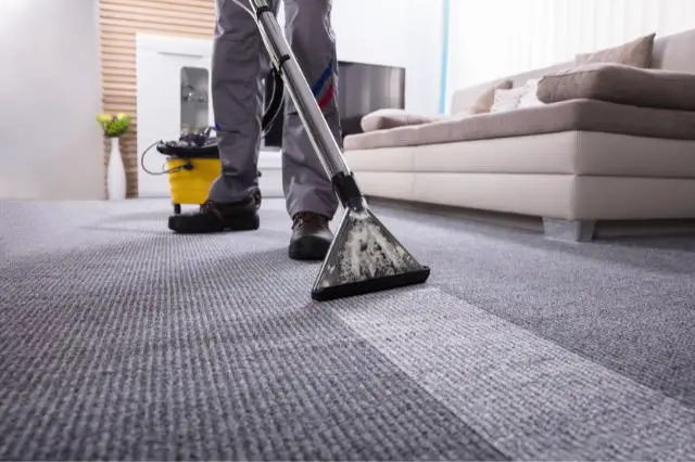 golden-rule-of-carpet-cleaning
