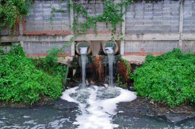 what-are-the-common-causes-of-sewage-problems