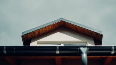 smart-reasons-to-clean-your-gutters-regularly
