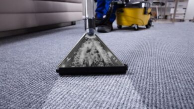 why-regular-carpet-cleaning-is-a-must