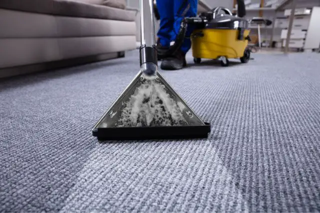why-regular-carpet-cleaning-is-a-must