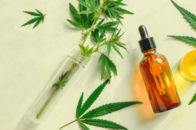 cannabinoids-and-wellness-harnessing-the-therapeutic-benefits-of-cannabis-compounds