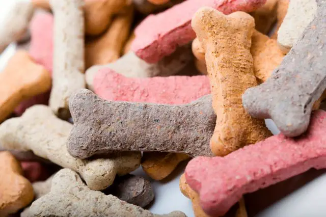 why-fresh-dog-food-is-a-game-changer-for-pet-health