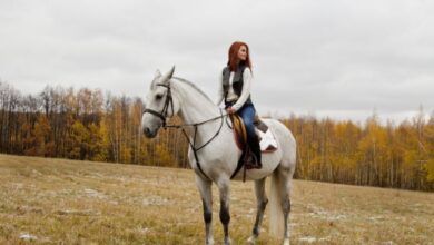 safety-tips-for-horseback-riding-while-traveling