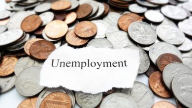 diving-deeper-differentiating-between-types-of-unemployment