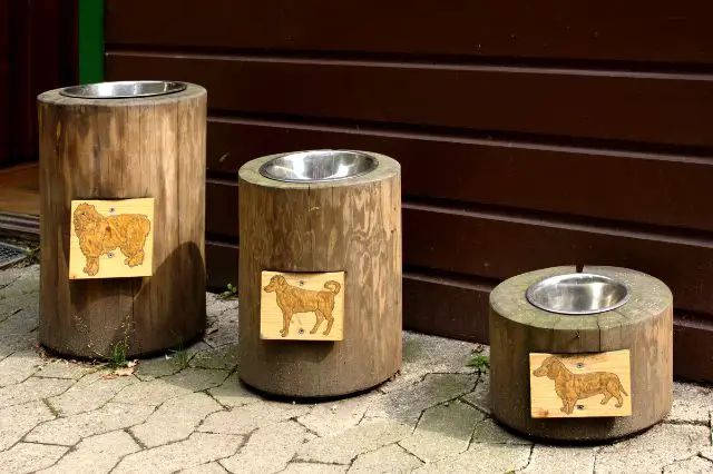 elevate-mealtimes-discover-the-perfect-custom-dog-bowl