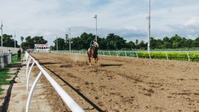 how-field-condition-affects-horse-racing-performance