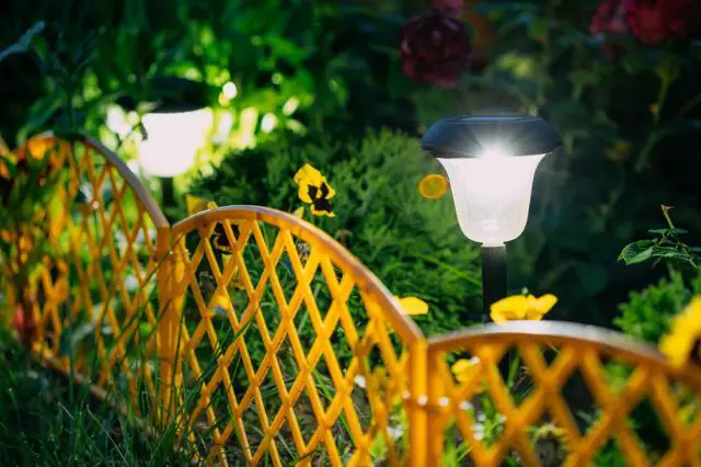 tips-for-choosing-the-right-solar-yard-lights