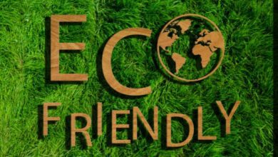how-eco-friendly-businesses-benefit-from-paystub-generators