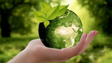 Why Traxion Materials Leads the Charge in Zero-Landfill Economy Practices